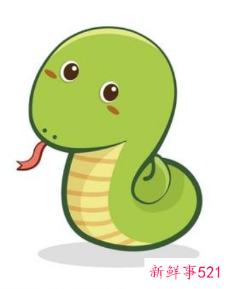 完美到让人羡慕的生肖女