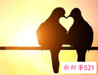 给爱人起个暧昧的昵称