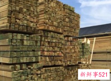 木头潮湿发霉怎么处理