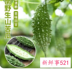 山苦瓜的功效与作用