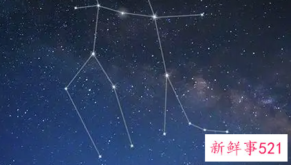 12星座谁最需要的疼爱