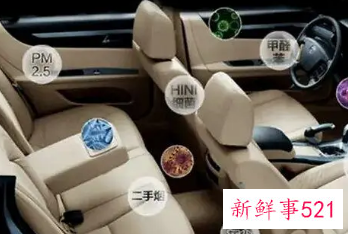 新车除异味用活性炭有用吗