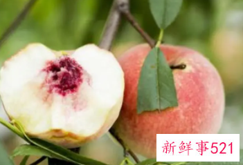 桃子吃多了有什么好处和坏处