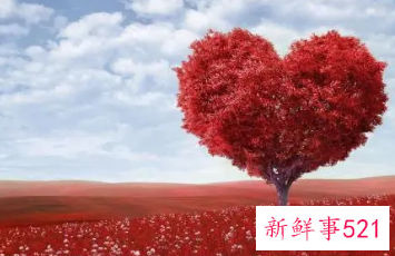 喜欢和爱的区别是什么呢