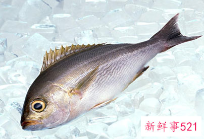 鱼怎么冷冻跟新鲜一样