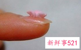 雕花胶雕花教程图解