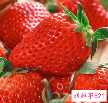 怎么让草莓保持新鲜