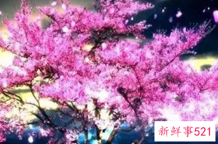 盘点哪些星座女冬天易遇桃花