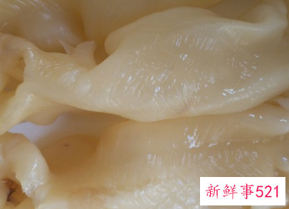 花胶的正确泡发方法