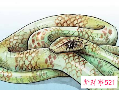 孕妇梦见煮蛇吃是什么意思