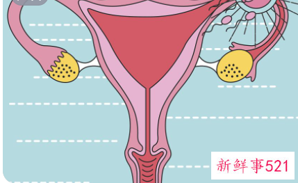 女性有妇科病什么症状