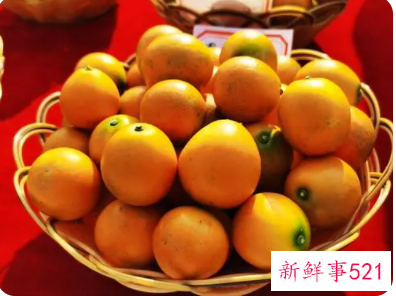 黄金桔子的作用与功效