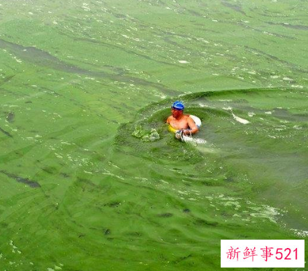 周公解梦梦见河水