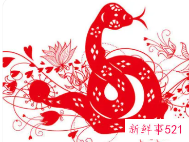 属蛇男重视一个人的表现