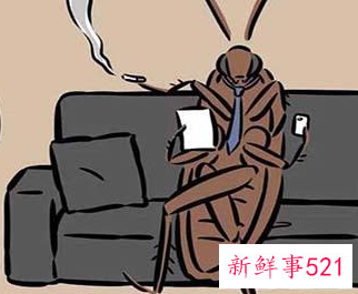 开灯能防止蟑螂爬床吗