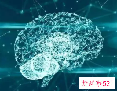 右脑开发图片1000