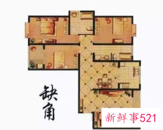 西南角摆什么植物合适