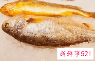 黄花鱼营养价值