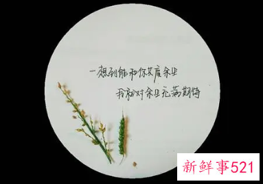 描写带有余生的情话句子