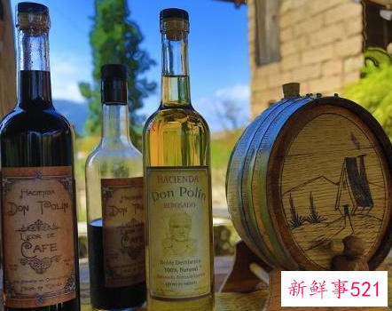 先喝白酒再喝啤酒伤身吗