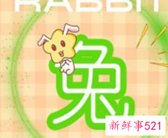 属兔2022年的运气如何