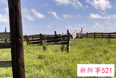 梦见牲畜栏有什么征兆