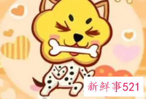 属狗幸运色和禁忌色