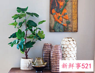 保你升职加薪的好风水