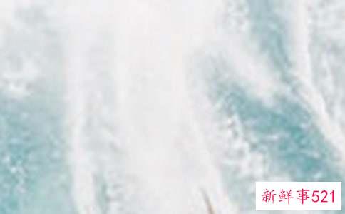 夏季肌肤出油干燥怎么办