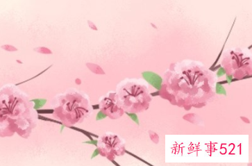 桃花劫的人能走到一起吗