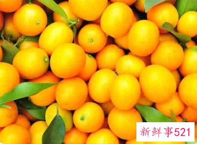 黄金桔子的作用与功效