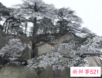 缺乏自信的表现