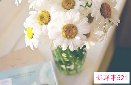 女生要怎么和男生聊天