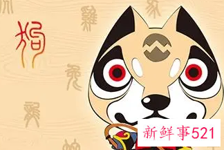 属狗幸运色和禁忌色