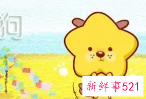 属狗幸运色和禁忌色