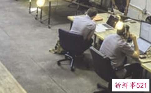 职工可以被认定为工伤的情形有哪些