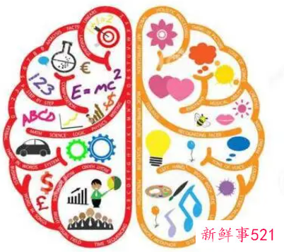 右脑开发图片1000