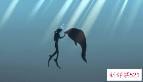 梦见海底有什么征兆