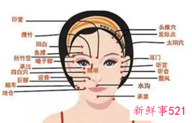 脸部各个部位名称叫什么