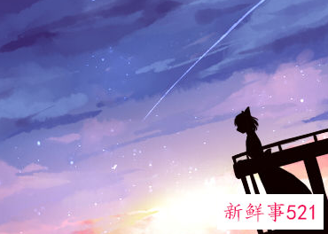 十二星座霸气网名