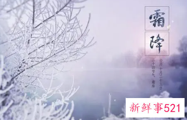 霜降的诗句古诗大全