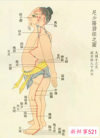 十二经络疏通的好处和作用