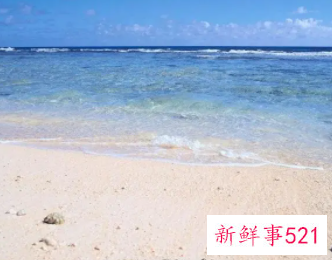 梦见去海边坐船