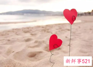 律师是不是对感情都很理性