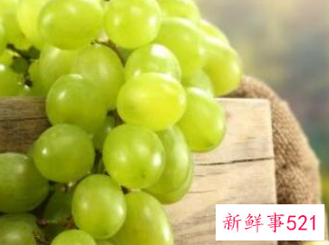 葡萄如何保鲜储存