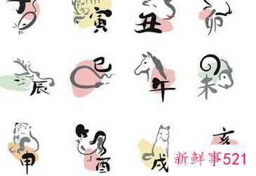 完美到让人羡慕的生肖女