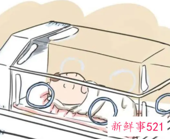 33周早产儿成活率