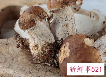 赤松茸不能跟六种食物一起吃