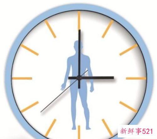 如何专注力训练