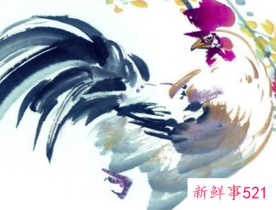 素质人品最好的生肖女